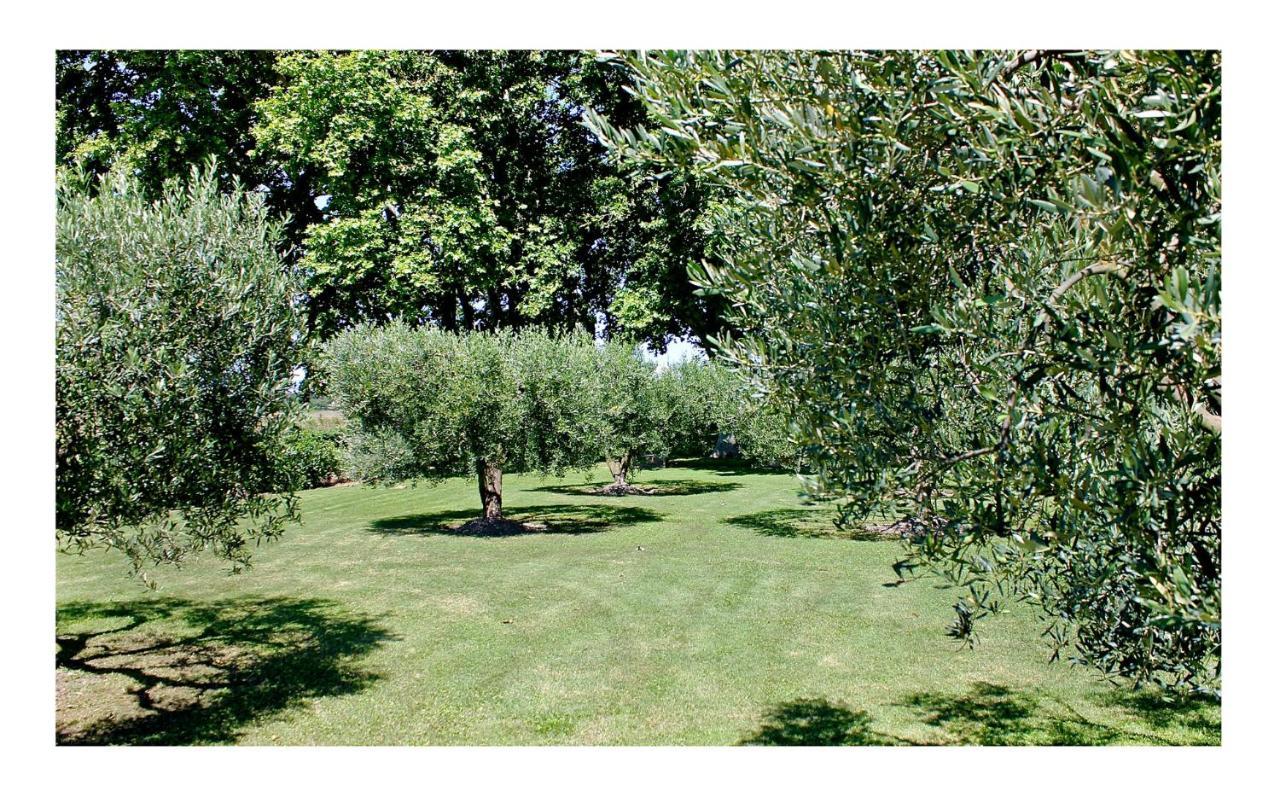 Le Domaine De Laforest Fontvieille Exterior foto